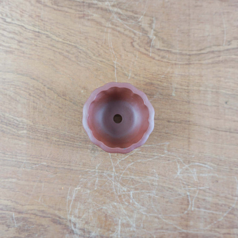 Bonsai pot 'rond'